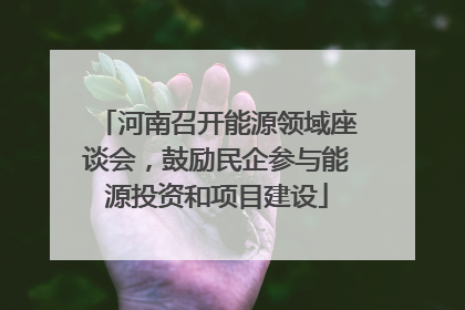河南召开能源领域座谈会，鼓励民企参与能源投资和项目建设