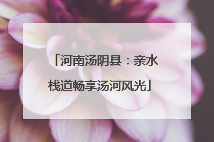 河南汤阴县：亲水栈道畅享汤河风光