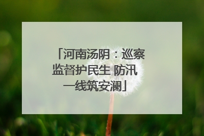 河南汤阴：巡察监督护民生 防汛一线筑安澜