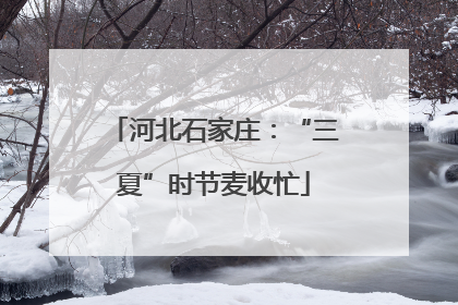 河北石家庄：“三夏”时节麦收忙