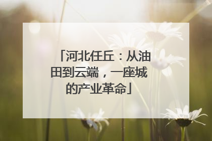 河北任丘：从油田到云端，一座城的产业革命