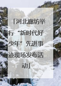 河北廊坊举行“新时代好少年”先进事迹现场发布活动