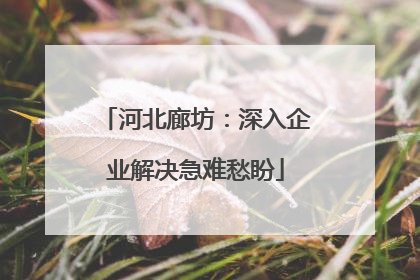 河北廊坊：深入企业解决急难愁盼