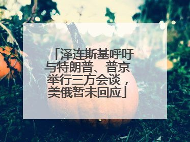 泽连斯基呼吁与特朗普、普京举行三方会谈，美俄暂未回应