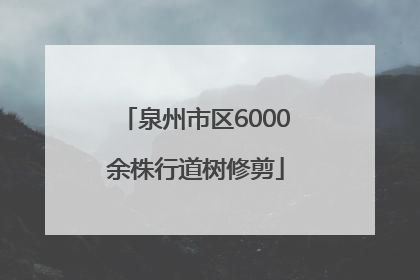 泉州市区6000余株行道树修剪