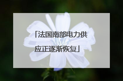 法国南部电力供应正逐渐恢复