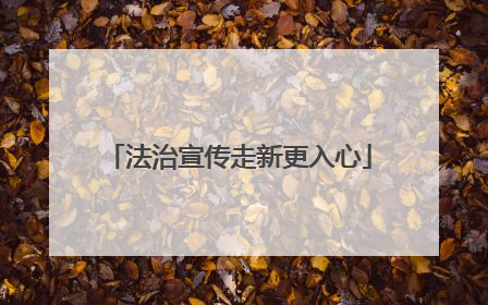 法治宣传走新更入心