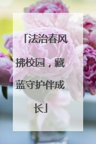 法治春风拂校园，藏蓝守护伴成长