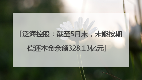 泛海控股：截至5月末，未能按期偿还本金余额328.13亿元