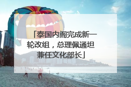 泰国内阁完成新一轮改组，总理佩通坦兼任文化部长