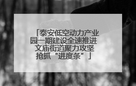 泰安低空动力产业园一期建设全速推进 文庙街道聚力攻坚抢抓“进度条”