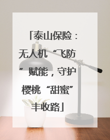 泰山保险：无人机“飞防”赋能，守护樱桃“甜蜜”丰收路