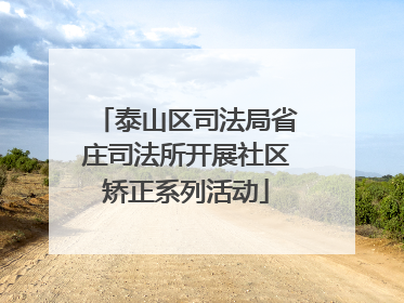 泰山区司法局省庄司法所开展社区矫正系列活动