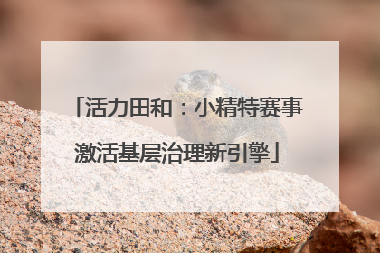 活力田和：小精特赛事激活基层治理新引擎