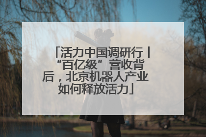 活力中国调研行丨 “百亿级”营收背后，北京机器人产业如何释放活力