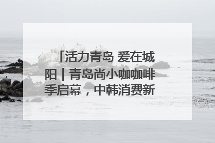 活力青岛 爱在城阳｜青岛尚小咖咖啡季启幕，中韩消费新场景点燃夏日热情