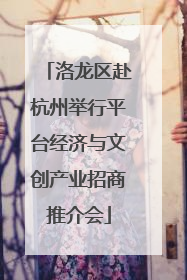 洛龙区赴杭州举行平台经济与文创产业招商推介会