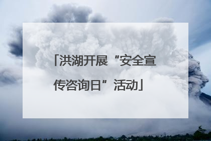 洪湖开展“安全宣传咨询日”活动