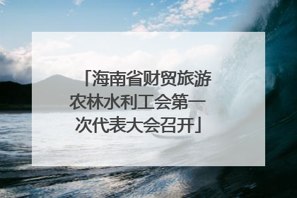 海南省财贸旅游农林水利工会第一次代表大会召开