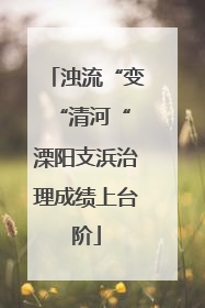 浊流“变“清河“ 溧阳支浜治理成绩上台阶