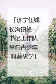 济宁任城长沟镇第一书记工作队举行青少年科普研学