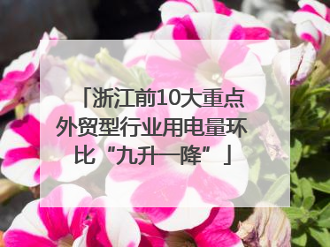 浙江前10大重点外贸型行业用电量环比“九升一降”