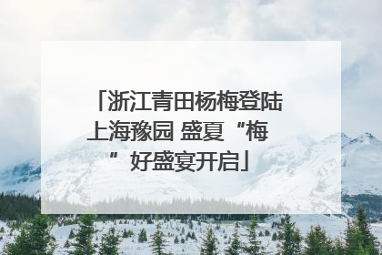 浙江青田杨梅登陆上海豫园 盛夏“梅”好盛宴开启
