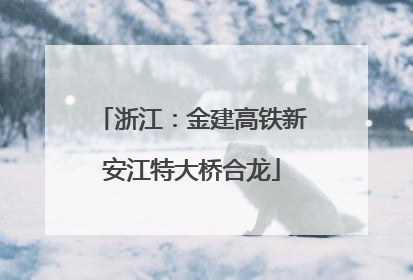 浙江：金建高铁新安江特大桥合龙