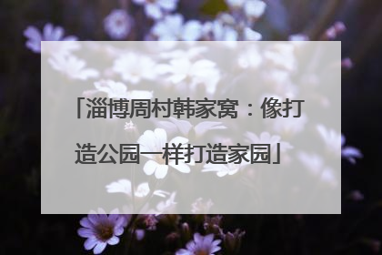 淄博周村韩家窝：像打造公园一样打造家园