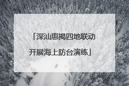 深汕惠揭四地联动开展海上防台演练