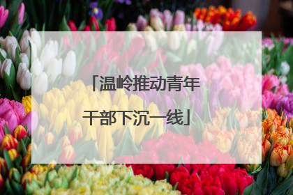 温岭推动青年干部下沉一线