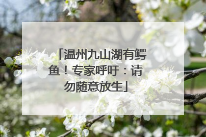 温州九山湖有鳄鱼！专家呼吁：请勿随意放生