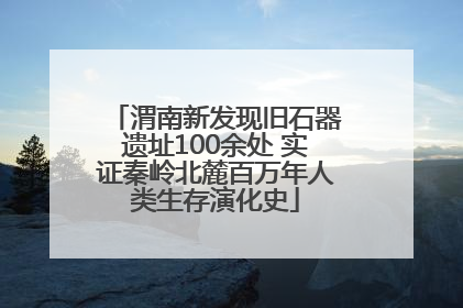 渭南新发现旧石器遗址100余处 实证秦岭北麓百万年人类生存演化史