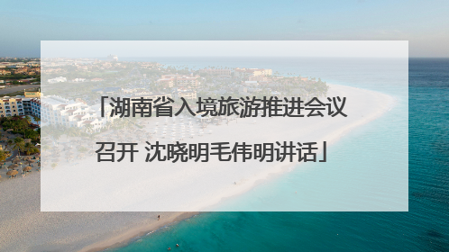 湖南省入境旅游推进会议召开 沈晓明毛伟明讲话