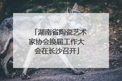 湖南省陶瓷艺术家协会换届工作大会在长沙召开