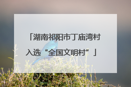 湖南祁阳市丁庙湾村入选“全国文明村”
