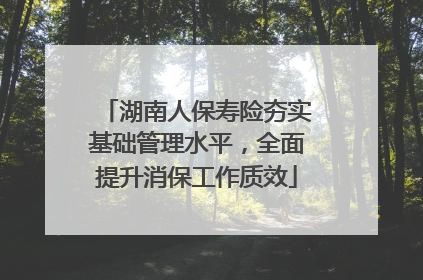 湖南人保寿险夯实基础管理水平，全面提升消保工作质效