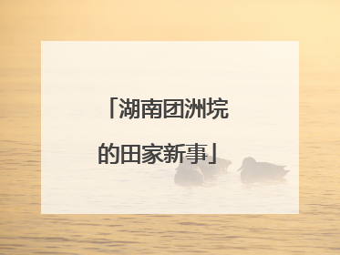 湖南团洲垸的田家新事