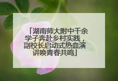 湖南师大附中千余学子奔赴乡村实践，副校长启动式热血演讲唤青春共鸣