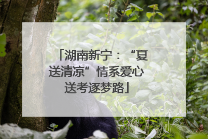 湖南新宁：“夏送清凉”情系爱心送考逐梦路