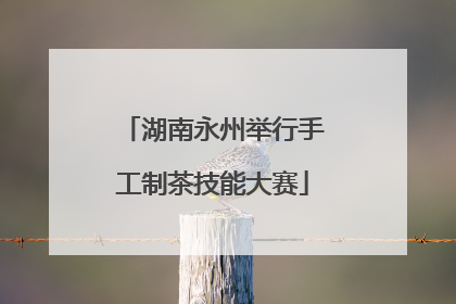 湖南永州举行手工制茶技能大赛