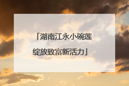 湖南江永小碗莲绽放致富新活力