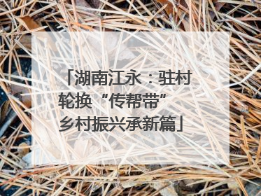 湖南江永：驻村轮换“传帮带” 乡村振兴承新篇