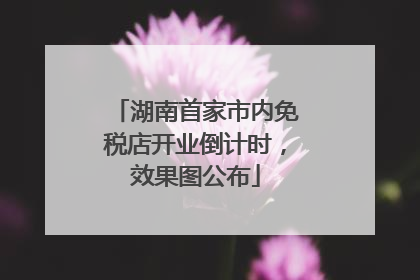 湖南首家市内免税店开业倒计时，效果图公布