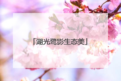 湖光鹭影生态美