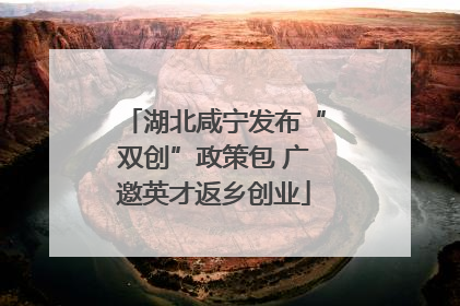 湖北咸宁发布“双创”政策包 广邀英才返乡创业