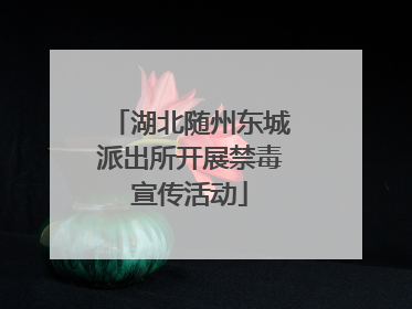 湖北随州东城派出所开展禁毒宣传活动