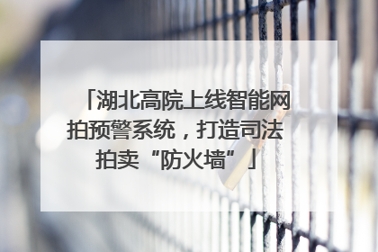 湖北高院上线智能网拍预警系统，打造司法拍卖“防火墙”