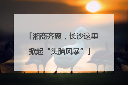 湘商齐聚，长沙这里掀起“头脑风暴”