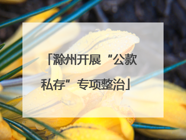 滁州开展“公款私存”专项整治